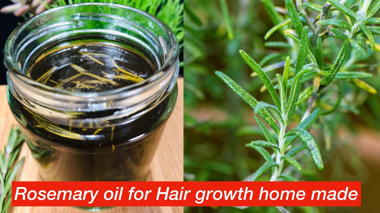 Rosemary hair oil Rosemary Hair oil for hair GrowthHow to make