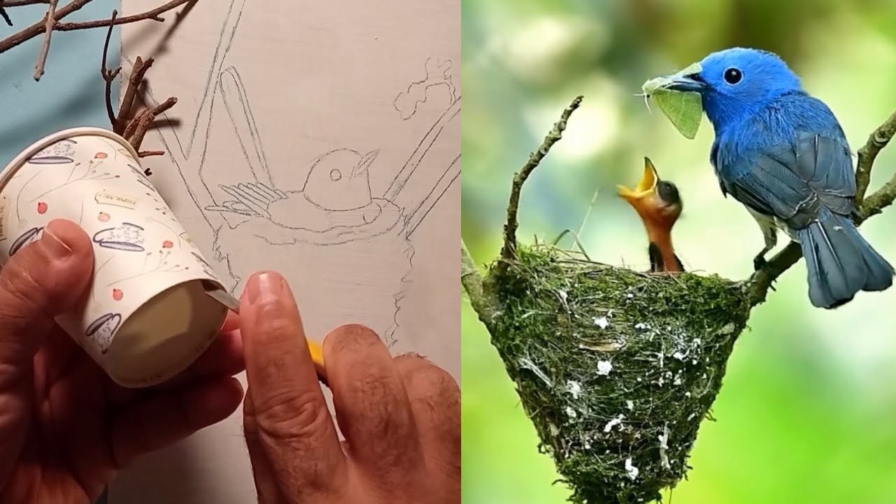 Clay Art | Making a Bird and Its Nest from a Paper Cup 🕊️