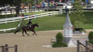 Video Of Party Favor Ridden By Charlotte Parkes From Shownet