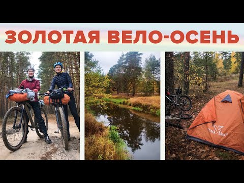 Видео: Золотая вело-осень. Поездка с ночёвкой. Алёна Катит.