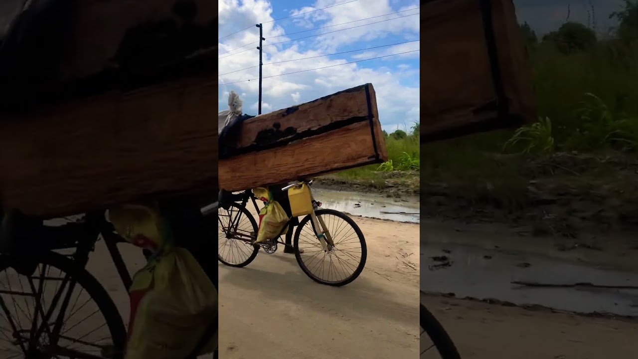 UNICO MEIO DE SOBREVIVENCIA EM DONDO FAZER CARVAO OU LEVAR ESSAS TORAS DE MADEIRA MAIS DE 25 KM A PÉ