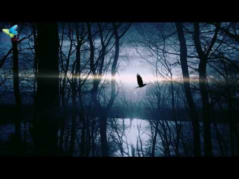 Good Night Images | Beautiful Good Night Video