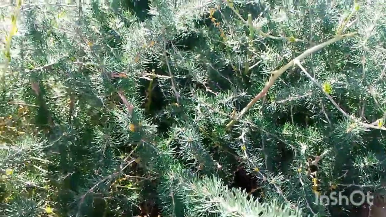 Paseos en la naturaleza 🤩🏞️🌄