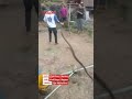 Thaimaalaisperheen vessasta löytyi jättimäinen kuningaskobra #iltalehti #uutiset