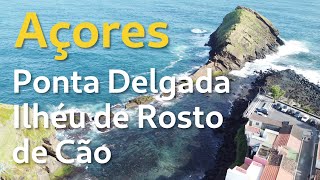 Açores / São Miguel / Ponta Delgada - Ilhéu de Rosto de Cão