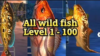 All wild fish level 1 - 100 fishing hook