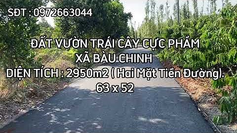 Mãnh Vườn Trái Cây Tâm Huyết Mấy Năm Nay Cần Tiền Phải Bán Gấp Giá Rẻ Thuộc Xã Bàu Chinh BRVT