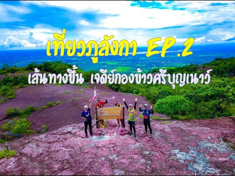 เที่ยวภูลังกา EP.2 ต้องไปสักครั้ง! เส้นทางขึ้นชม เจดีย์กองข้าวศรีบุญเนาว์ อ.บ้านแพง นครพนม