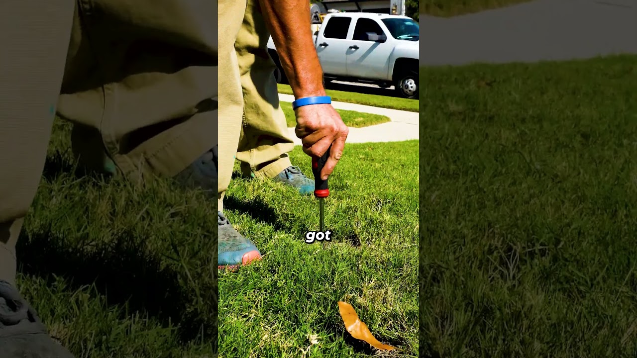 How to test your Soil #lawncare #diy