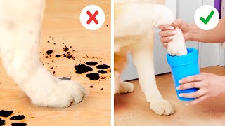 VIRAL GADGETS FOR PETS! Testing TikTok hacks for pets! Pet & plant gadgets for the summer by JOON