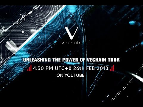 UNLEASHING THE POWER OF VECHAIN THOR