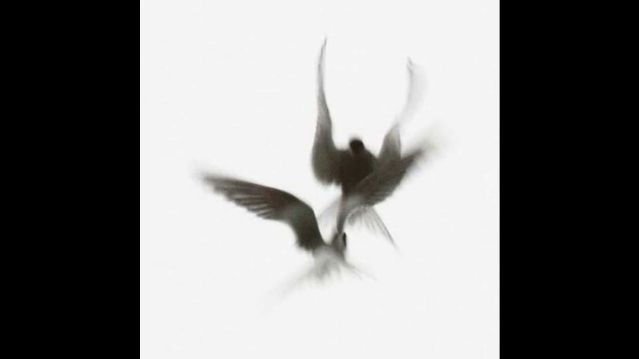 [LOOP] GERMANY - 85 bpm - Ab minor (dark - bouncy - synth)