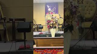 Be Holy &amp; Blameless 🙏 | Are You Ready to Be Adopted Into God’s Family?