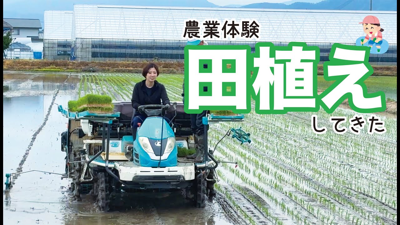 【農業体験】田植えしてきた