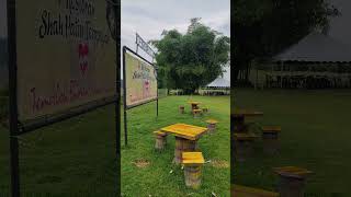 Restoran Shah Patin Tempoyak Temerloh Pahang
