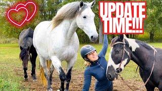 We are Down to 10 Horses…HERD Update