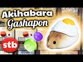 Gashapon in Akihabara: Hamster Egg Toys & MORE