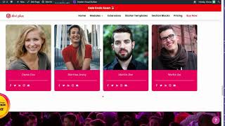 Divi Plus starter templates import walkthrough   Events and Wedding Wealth
