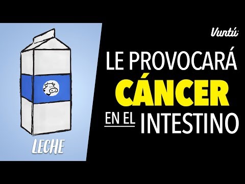 Video: 10 alimentos que tu perro nunca debe comer