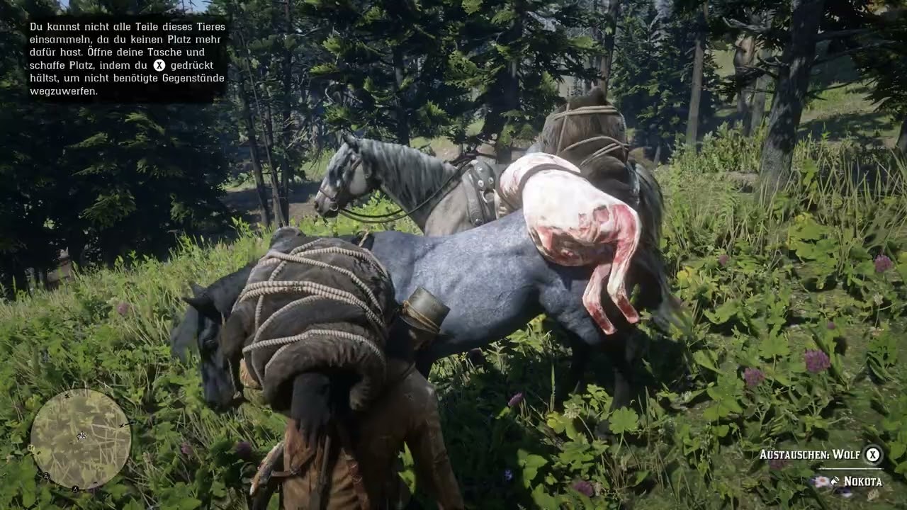 Red Dead Redemption II - 297