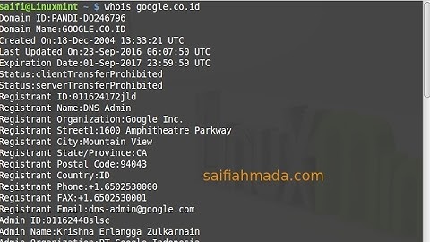 whois in terminal linux