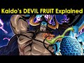 Artur - Library of Ohara on X: The full name of Kaido's devil fruit is  revealed, being the Uo Uo no Mi (Fish Fish Fruit), Mythical Type Model:  Seiryuu. The Seiryuu (青竜