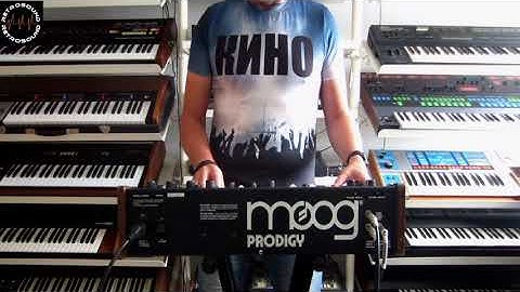 Moog Prodigy Analog Synthesizer (1979) Track XX - RetroWave