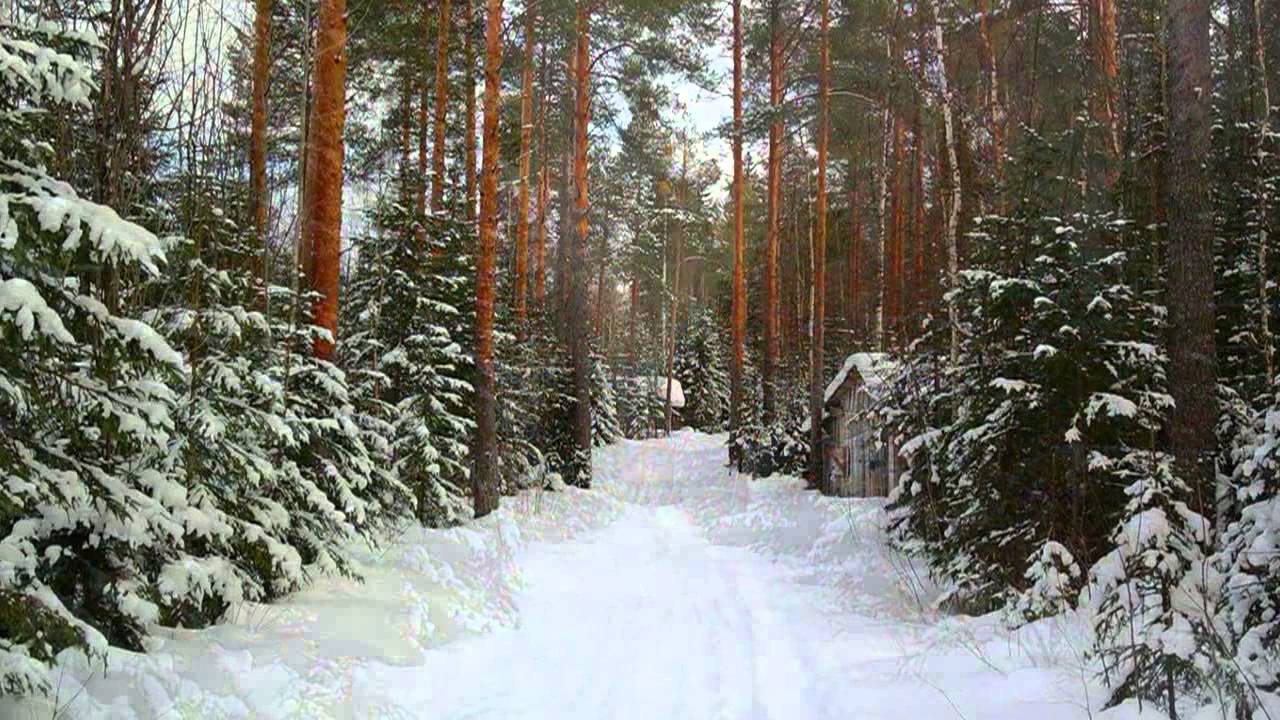 а лес стоит загадочный