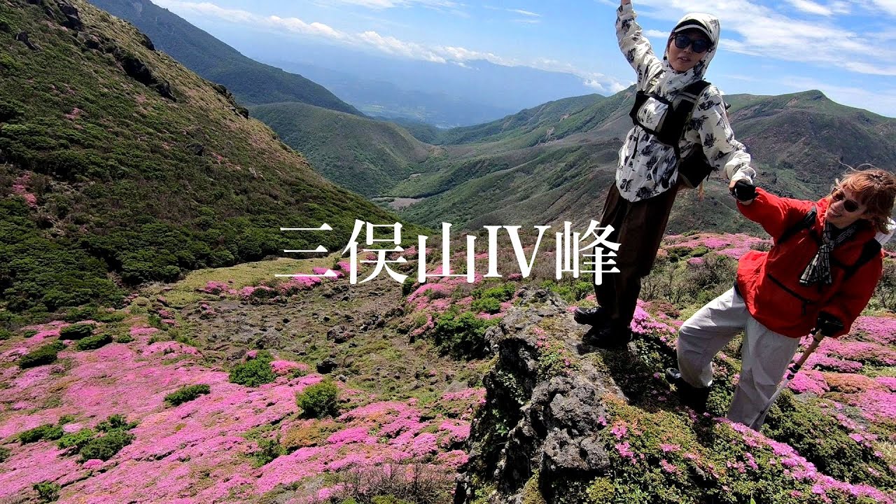 山採り　マユミ Mimatayama] Introducing the hidden gem of Miyamakirishi on the