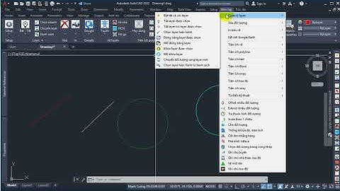 Mở khóa layer được chọn
