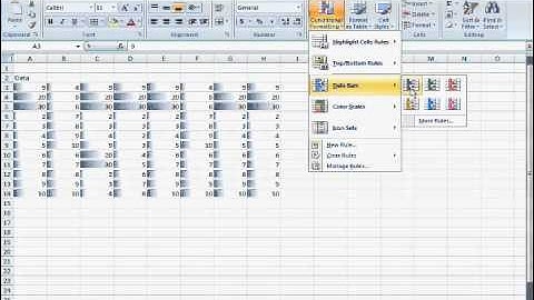 Excel Conditional Formatting Data Bar in Urdu