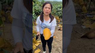 आम खाराब हो गया😰#shortvideoshortvideo#automobile#cartoon#trending#facts