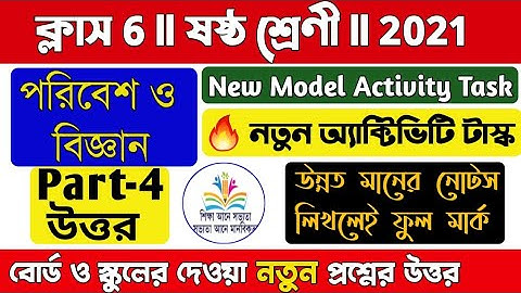 Model activity task class 6 Science part 4/💥New/পরিবেশ ও বিজ্ঞান/Class 6 Science model activity task