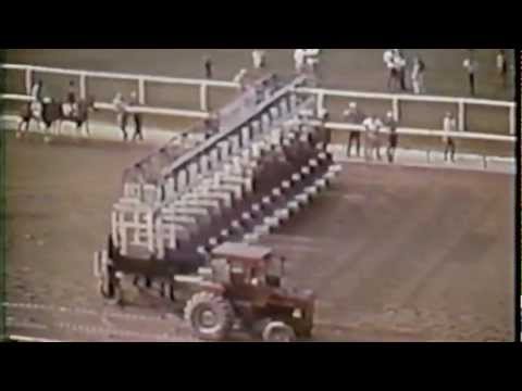 Video: ¿Corrió man o war en el derby de kentucky?