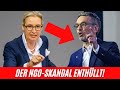 FPÖ und AfD enthüllen den Milliarden-Skandal der NGOs!?