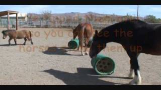 Natural grazing slow hay feeder