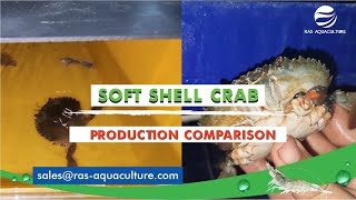 Producing Soft Shell Crab Using Vertical Farming Technology | Product Comparison screenshot 3