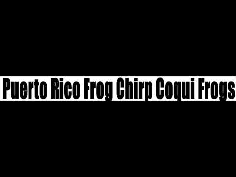 puerto-rico-frog-coqui-frogs-ring-tone