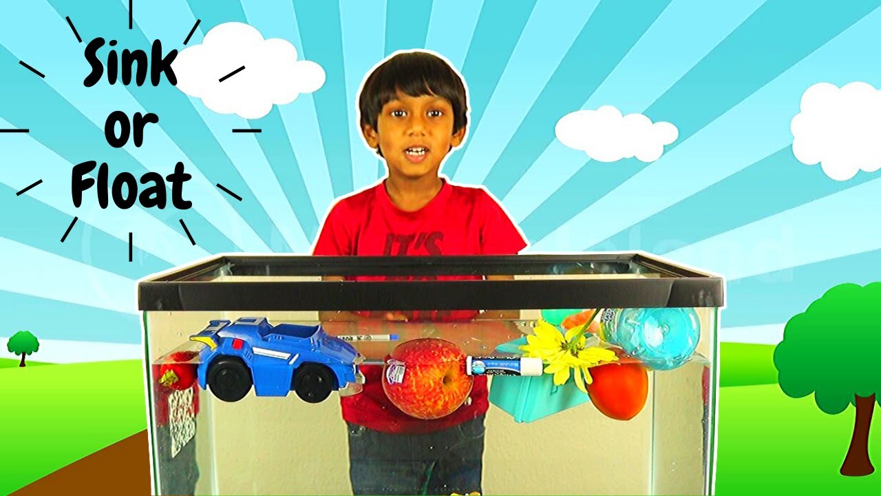 Sink or Float Science Experiment - YouTube