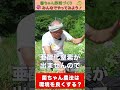 菌ちゃん農法は環境を良くする!?【おうちで元気な無農薬野菜を育てよう】 #shorts