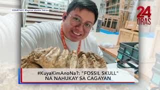 Bungo Ng Stegodon Na Kamag-Anak Ng Modern-Day Elephant, Natagpuan Sa Caan 24 Oras