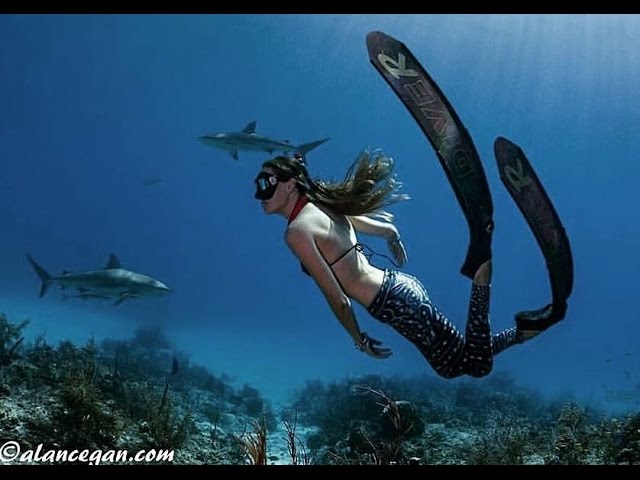 Ashleigh Baird – Freedive Against All Odds (Take the Waters)