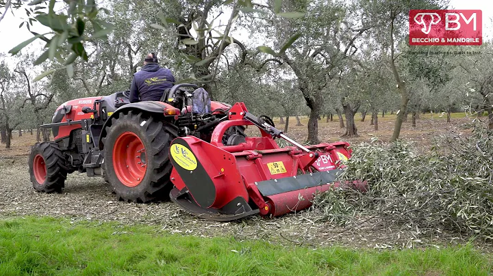 SF - semi forestry shredder / SF trincia semi-forestale