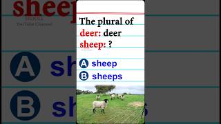 English Plurals Quiz #quiz #gk #generalknowledge