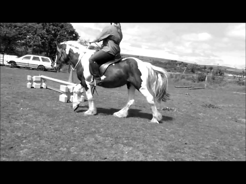 jumping a car 300 subscribers {~I never meant to fall for you~}