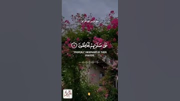 والذين هم على صلواتهم يحافظون || تلاوة خاشعة جميلة جداً 😴 أرح قلبك القارئ عبد الله الموسى Quran