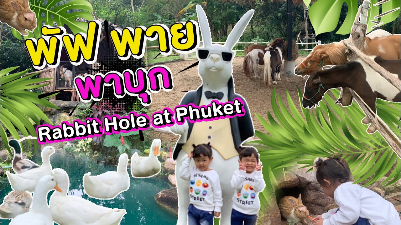Rabbit Hole at Phuket | บ้านโพรงกระต่าย คาเฟ่สุดชิคกับเหล่าบรรดาสัตว์ 🐇🐓🦢🐏