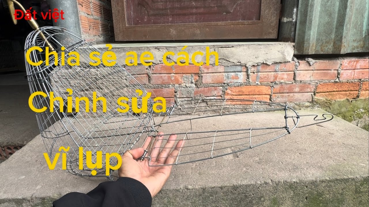 Hướng dẫn làm lụp chim- chia sẻ ae chỉnh sửa vĩ lụp.