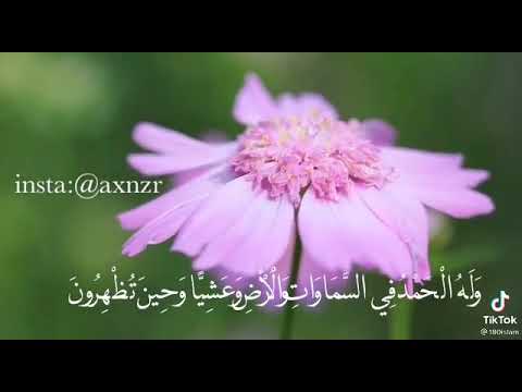 وله الحمد في السماوات والأرض وعشيا وحين تظهرون