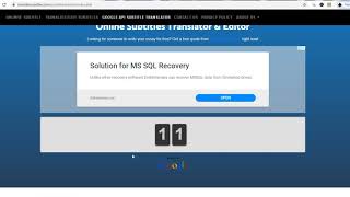 Translate Subtitles - Google API Subtitle Translator in action screenshot 4